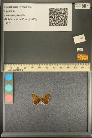 Media type: image;   Entomology 192553